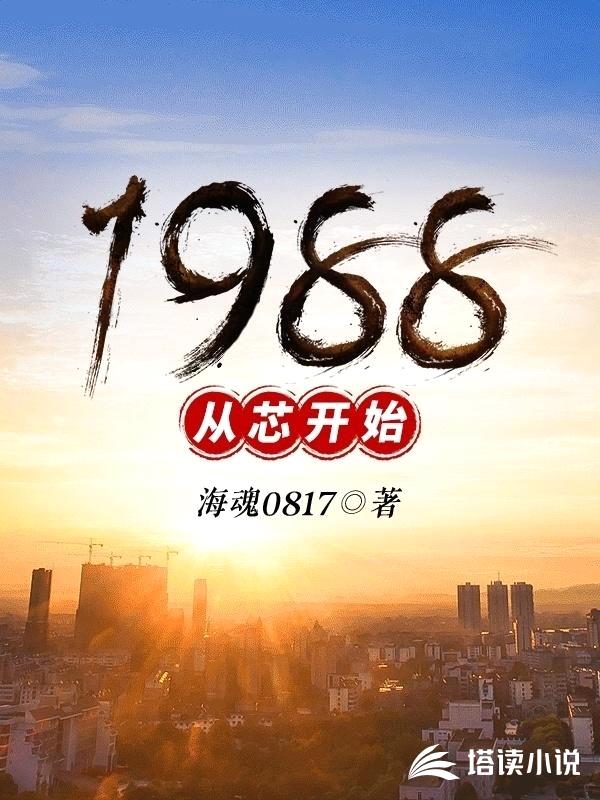 1988从芯开始封面